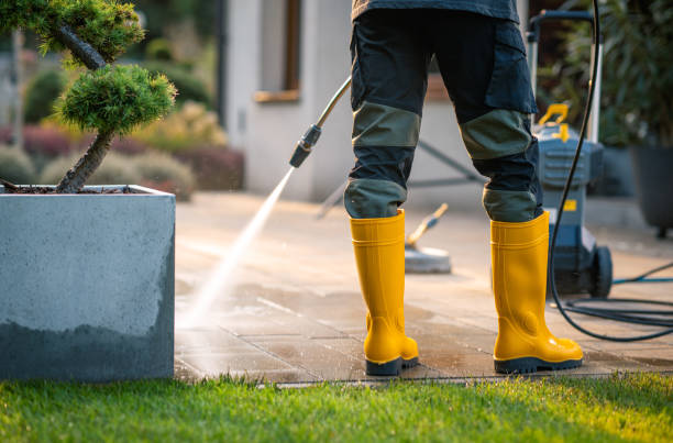 Best Roof Pressure Washing  in Grayson, CA